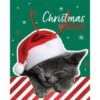 Gift Bag - Christmas Cat, Large