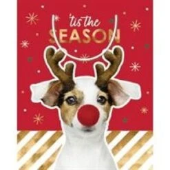 Gift Bag - Christmas Dog, Large