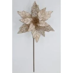 Flower - Christmas, Champagne