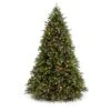Christmas Tree - 2.1 M Montana Pine LED Multicolour