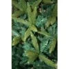 Christmas Tree - Green Pine 180 Cm 1035 Tips