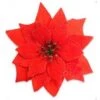 Clip-On Flower - Christmas Poinsettia, Small